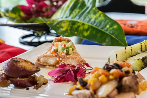 Giungla e gastronomia