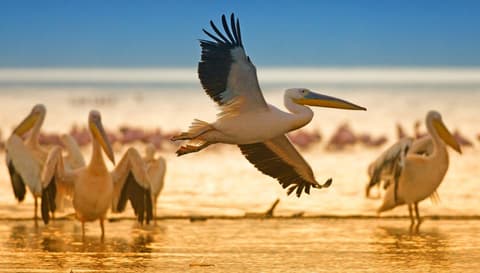 Por el valle del Rift, Serena Lodges: recorrido privado