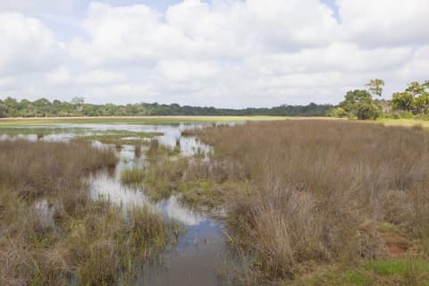 The Local Way - Sri Lanka