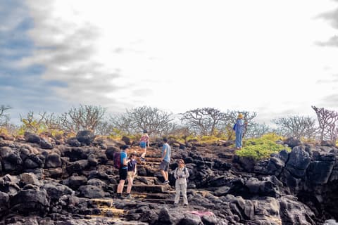 Escapada de 6 días a Galápagos: senderos volcánicos y encuentros con la vida silvestre, guía de habla francesa