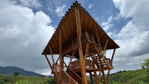 4-Day Pereira Coffee Region Experience, Private Tour, French-speaking guide