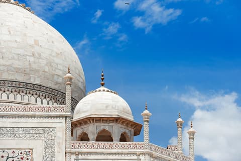 Special Rajasthan, Italian-speaking guide