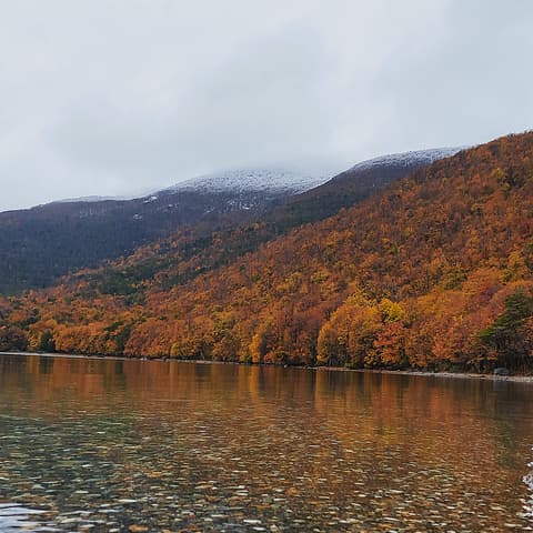 4-Day Classic Ushuaia: Tierra del Fuego National Park, French-speaking guide