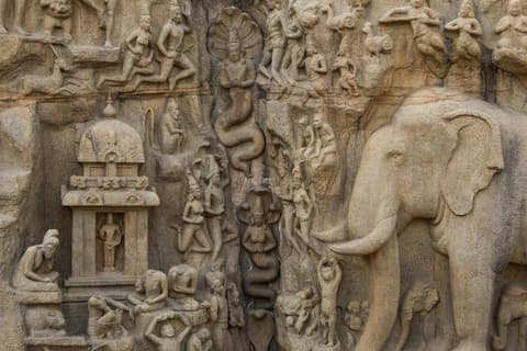 Discover the South of India, French-speaking guide