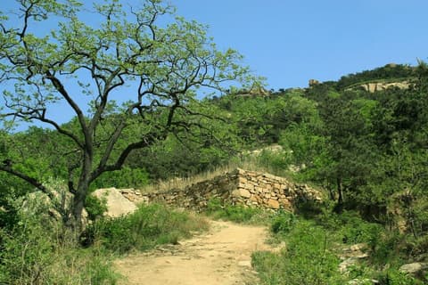 Escapada a la ciudad de Xiamen, Tour Privado