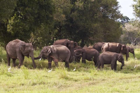 Conecta con lo Salvaje, Tour Privado