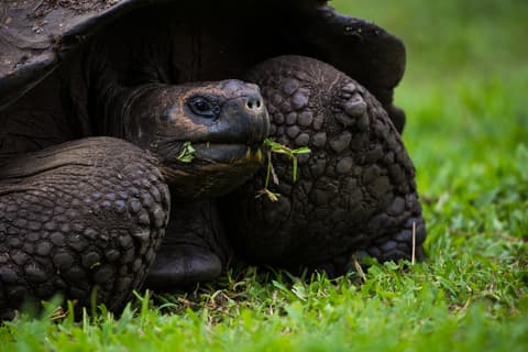 4-Day Wildlife & Wonders of Galapagos