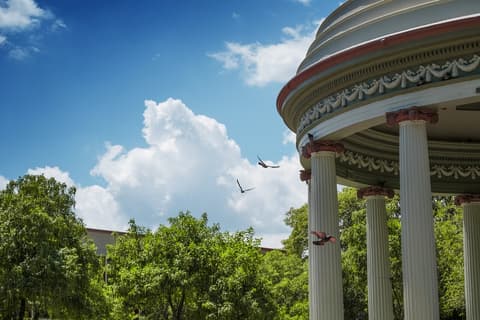 Bosques Místicos de Costa Rica