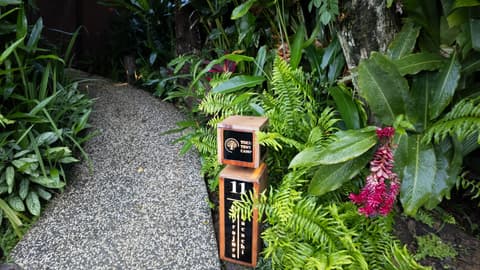 Experiencia de 3 días en el campamento de tiendas de campaña en Tocu