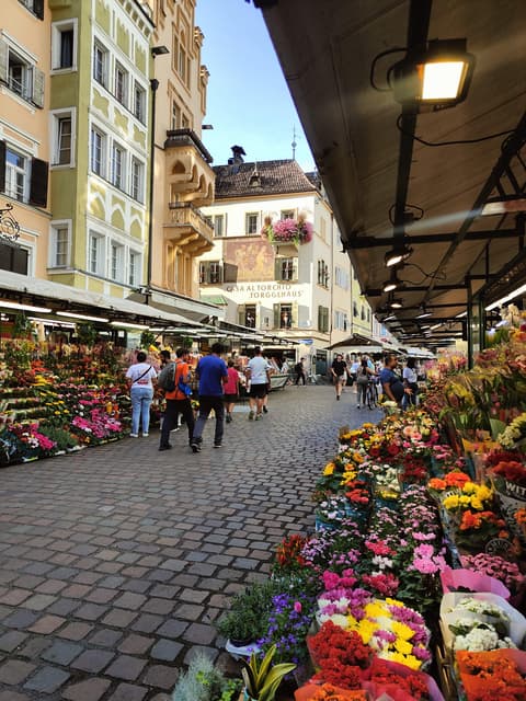Discovering Bolzano