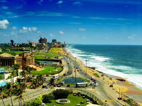 Tour professionale per l'osservazione ornitologica