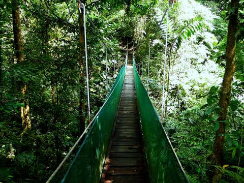 Experience Costa Rica’s Nature, French-speaking guide