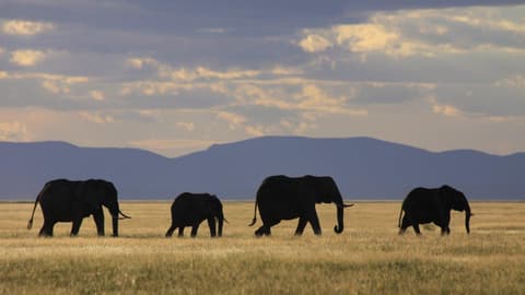 Through the Rift Valley, Serena Lodges 