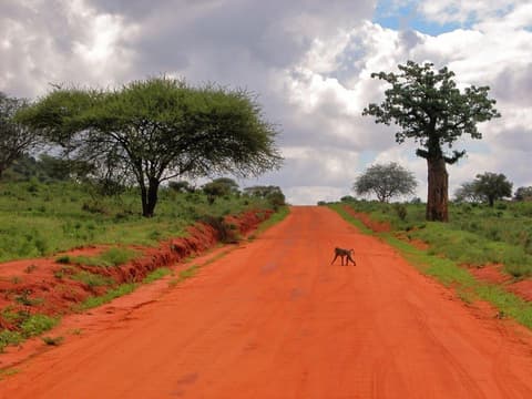 Safari to Tsavo East, Short Break (On Request)