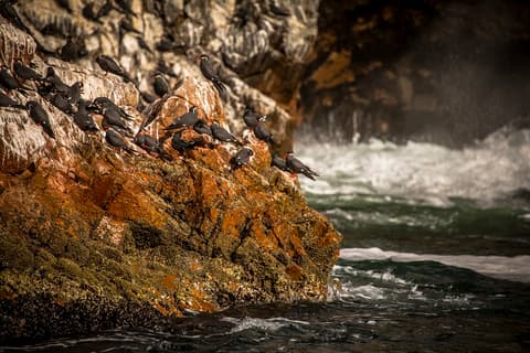 El maravilloso sur peruano