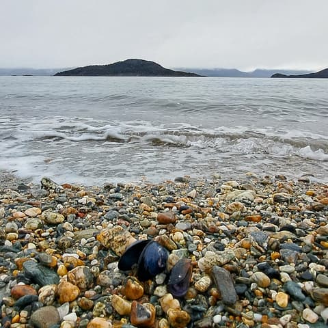 4-Day Classic Ushuaia: Tierra del Fuego National Park, French-speaking guide
