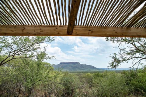 Beautiful Contrasts of Northern Namibia, Private Tour (On Request)