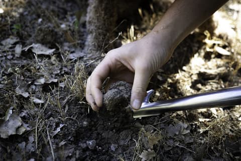 2-Day Private Taste of Tuscany: Hills, Truffles & Cooking Experience*