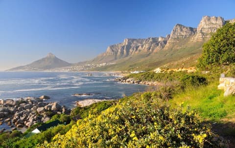 Cape Town's Culture and Cuisine, Private tour