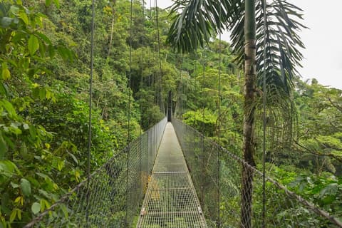 Essential Costa Rica - Package with Guanacaste, Self-drive