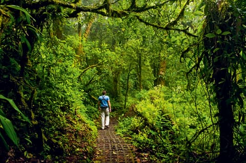 Two Icons of Costa Rica: Arenal & Monteverde Family Adventure