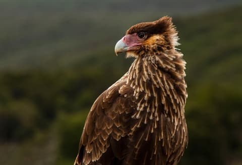 Ushuaia Clásica de 4 días: Parque Nacional Tierra del Fuego