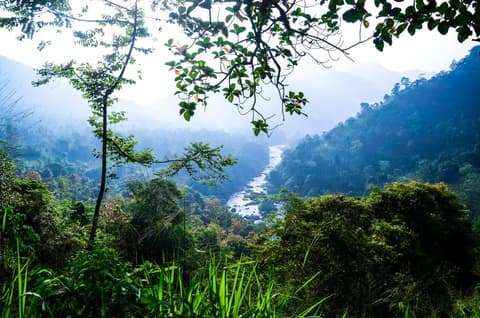 Joyas culturales de Sri Lanka 6 Días, Tour Privado