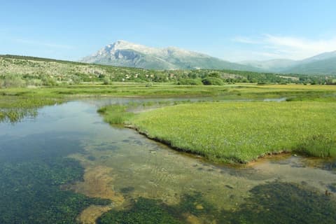 Dubrovnik and Split, Private Tour