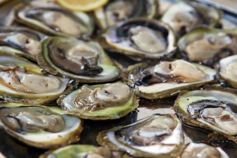 Explore Istria and Dalmatia in 8 Days, Self-Drive