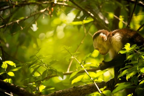 The Best of Costa Rica