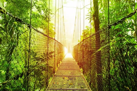 Costa Rica: Land of Volcanoes and Rainforests, French-speaking guide