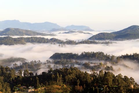 Sri Lanka, La Isla del Paraiso