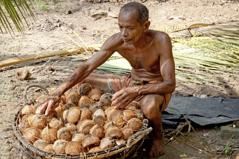 Kerala y Sur de La India