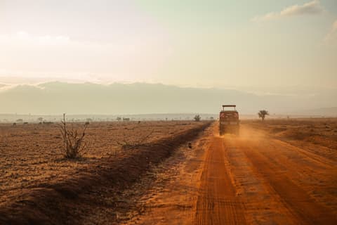 2-Day Chobe Signature Game & Boat Safari