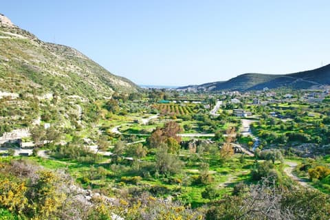 Explore Chipre 8 días, Conducción por cuenta propria