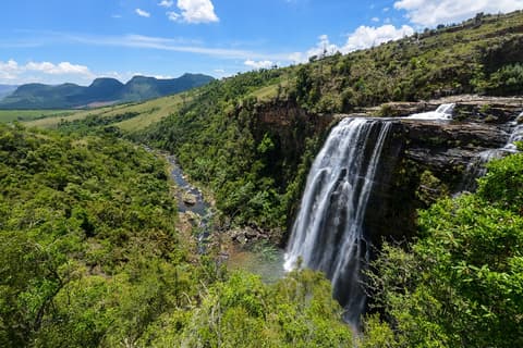 Kruger Park Highlights