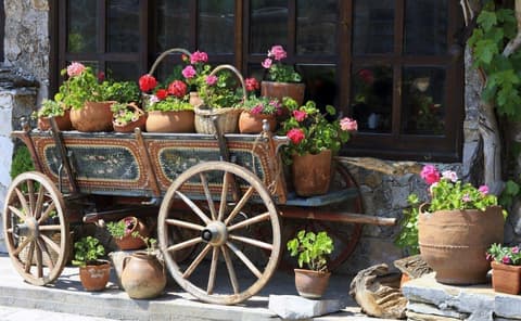 Exclusive group (min 10 pax): Bulgaria's UNESCO World Heritage Sites