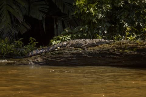 Tropical Costa Rica 5 Days, Short Break