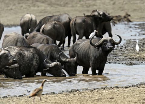 Through the Rift Valley, Sentrim Lodges