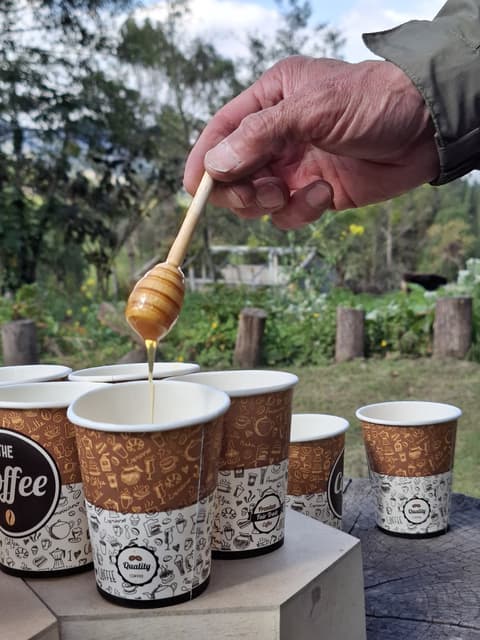 Experiencia privada de 2 días en Bogotá: tradiciones antiguas, comunidades vivas y biodiversidad