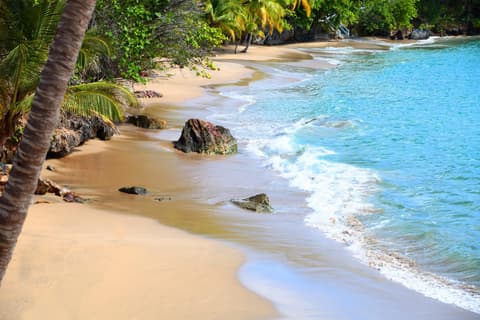 Bahia Principe Escape Samana