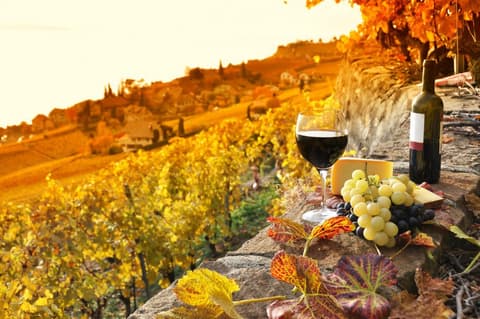 ¡Nuevo! Escapadas Italianas Florence City Break con Siena, San Gimignano y Chianti - 2ª Categoría - 3 días / 2 noches 