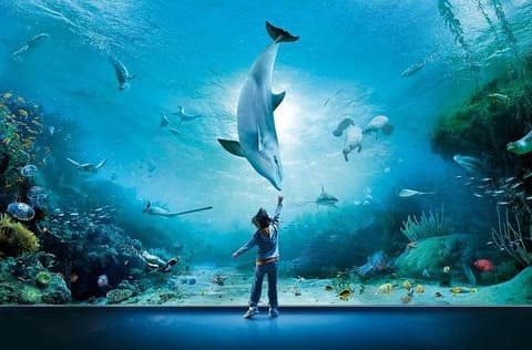 Escapadas italianas Aquario de Genova 2 Dias/1 Noche