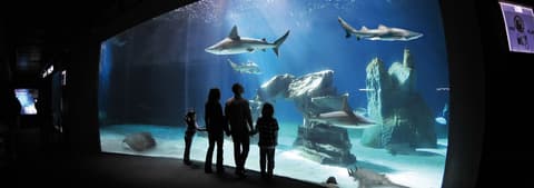 Escapadas italianas Aquario de Genova 2 Dias/1 Noche