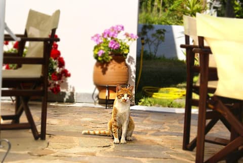 Andrianna Apartments