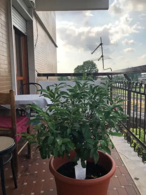 Venice h.s.Garden Home