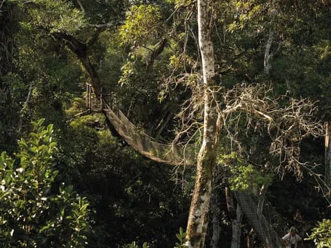 Inkaterra Reserva Amazonica, 