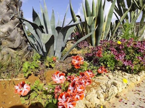 Agriturismo Arabesque