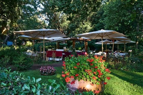 Hotel Riva degli Etruschi, 