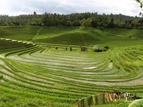 Bali Classic from Ubud